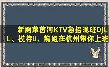 新開萊茵河KTV急招晚班DJ、模特，龍姐在杭州帶你上班